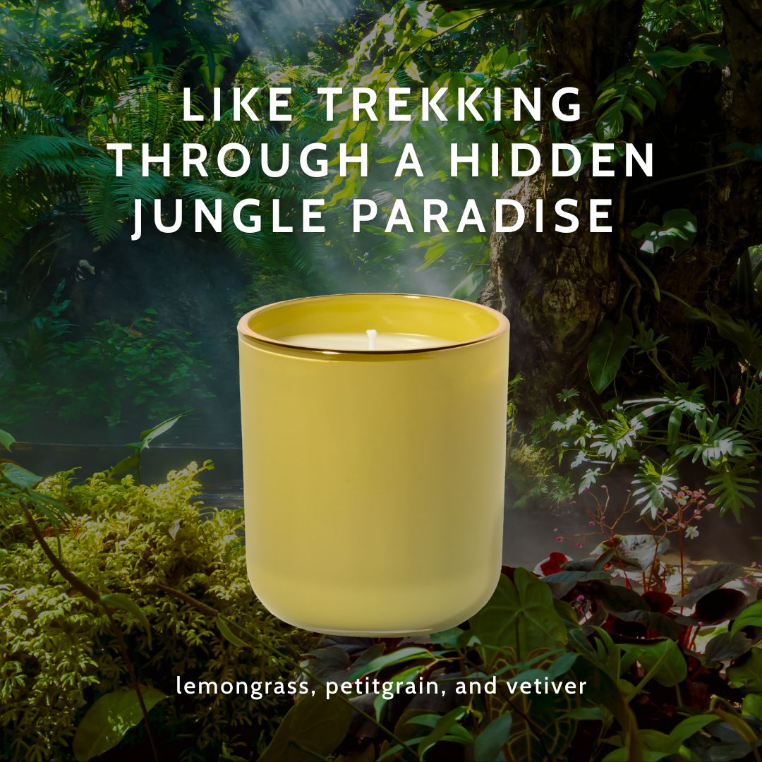 lost jungle